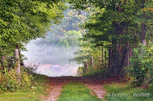 Country Lane_26162.jpg - Photographed near Chaffeys Locks, Ontario, Canada.